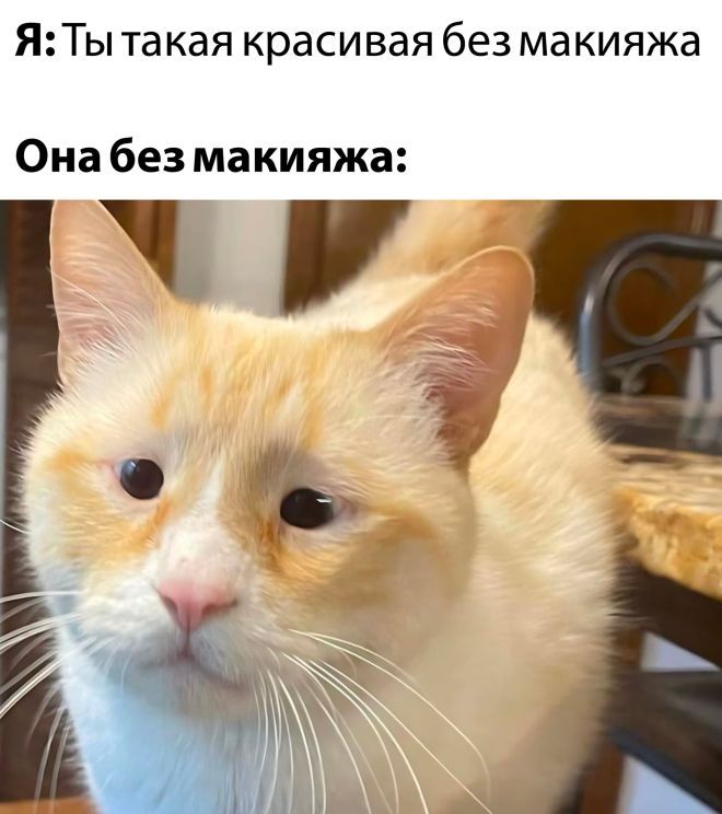 Подборка картинок. Вечерний выпуск - 21.12.2022 (30 фото)