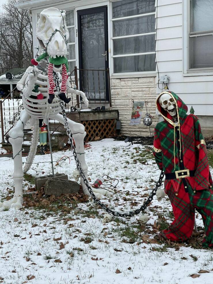 Подборка картинок. Вечерний выпуск - 21.12.2022 (30 фото)