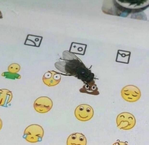 Подборка картинок. Вечерний выпуск - 21.12.2022 (30 фото)