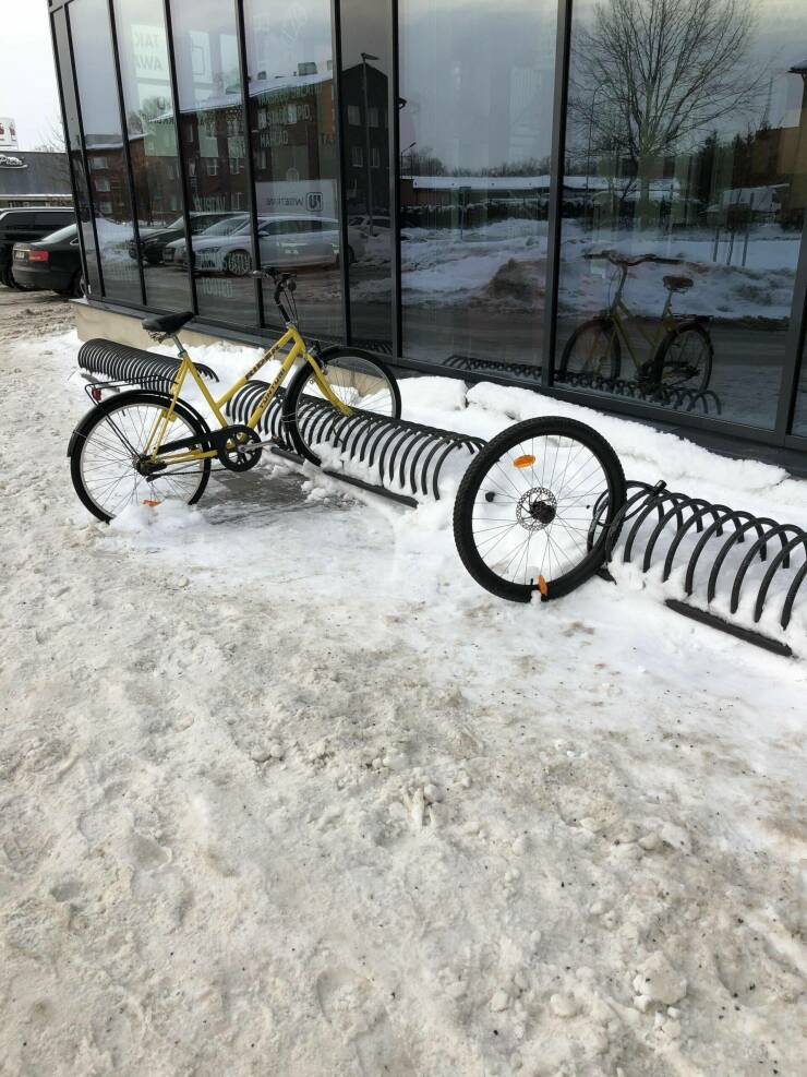 Подборка картинок. Вечерний выпуск - 21.12.2022 (30 фото)