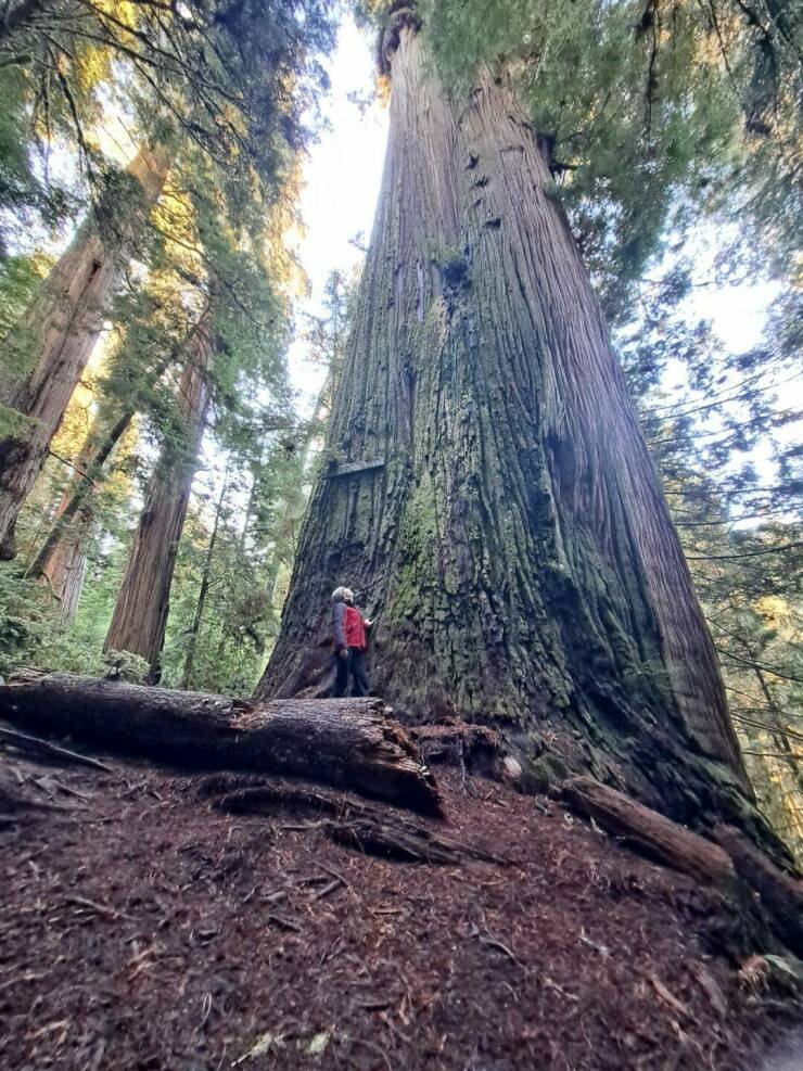 Подборка картинок. Вечерний выпуск - 21.12.2022 (30 фото)