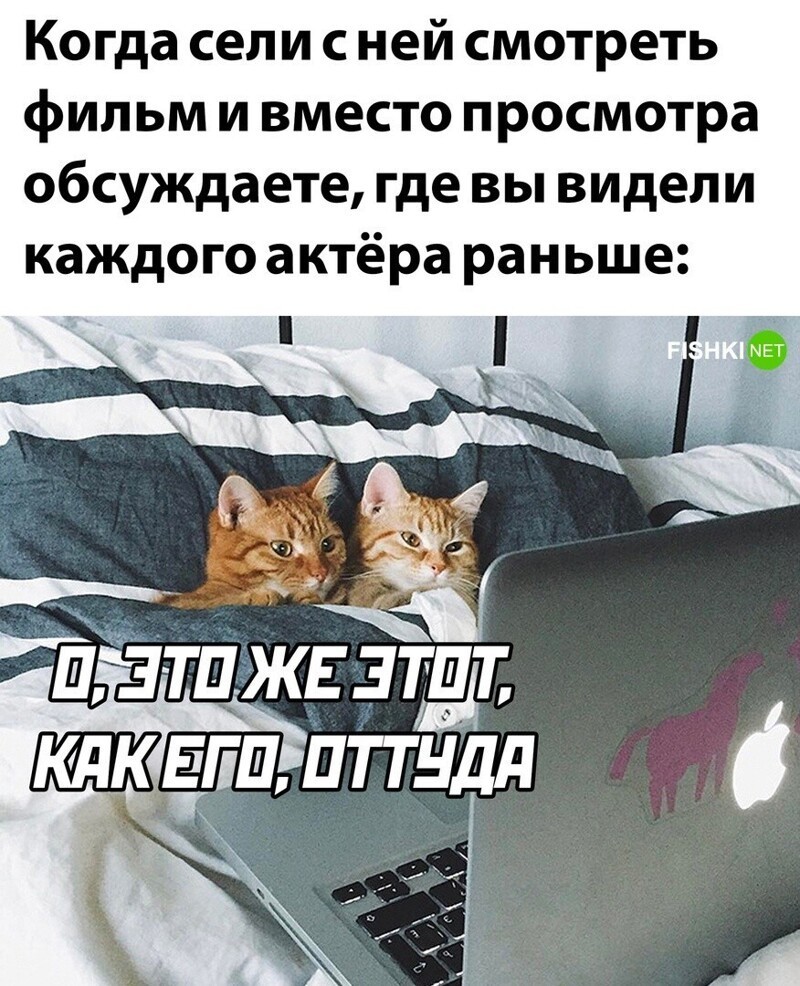 Комментарии и картинки из соцсетей. Свежак за 20 декабря