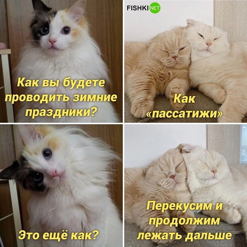 Комментарии и картинки из соцсетей. Свежак за 20 декабря