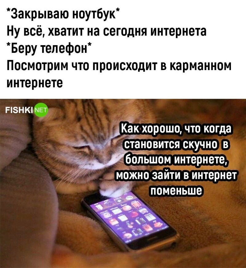 Комментарии и картинки из соцсетей. Свежак за 20 декабря