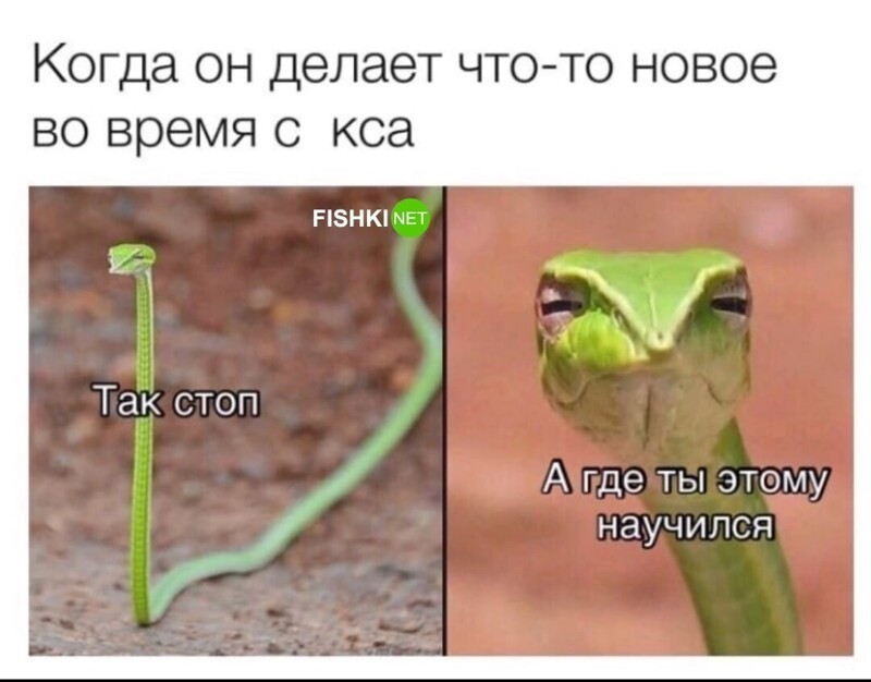 Комментарии и картинки из соцсетей. Свежак за 20 декабря