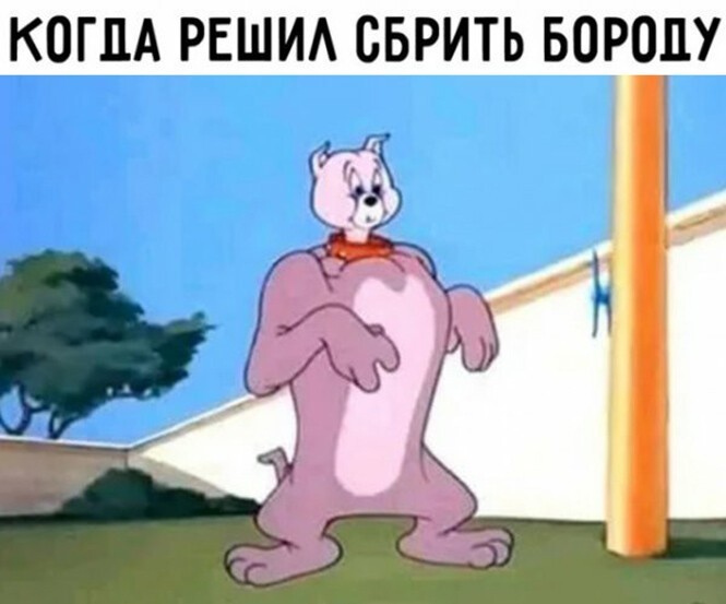 Смешные и познавательные картинки Смешные и познавательные картинки