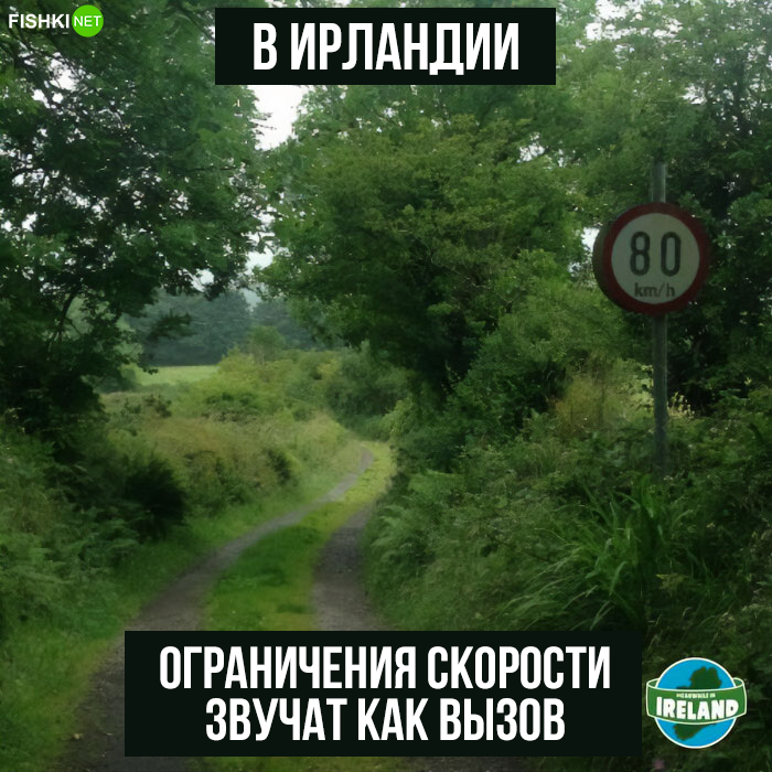 11. А местные аналоги гаишников вместо штрафов раздают медали, видимо