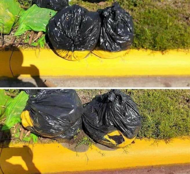 Подборка картинок. Вечерний выпуск - 26.12.2022 (30 фото)