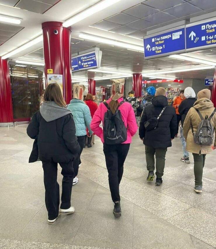 Подборка картинок. Вечерний выпуск - 26.12.2022 (30 фото)