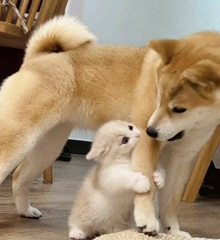 Подборка картинок. Вечерний выпуск - 26.12.2022 (30 фото)