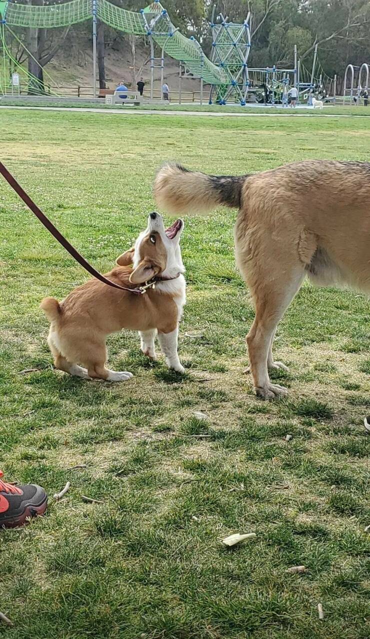 Подборка картинок. Вечерний выпуск - 26.12.2022 (30 фото)