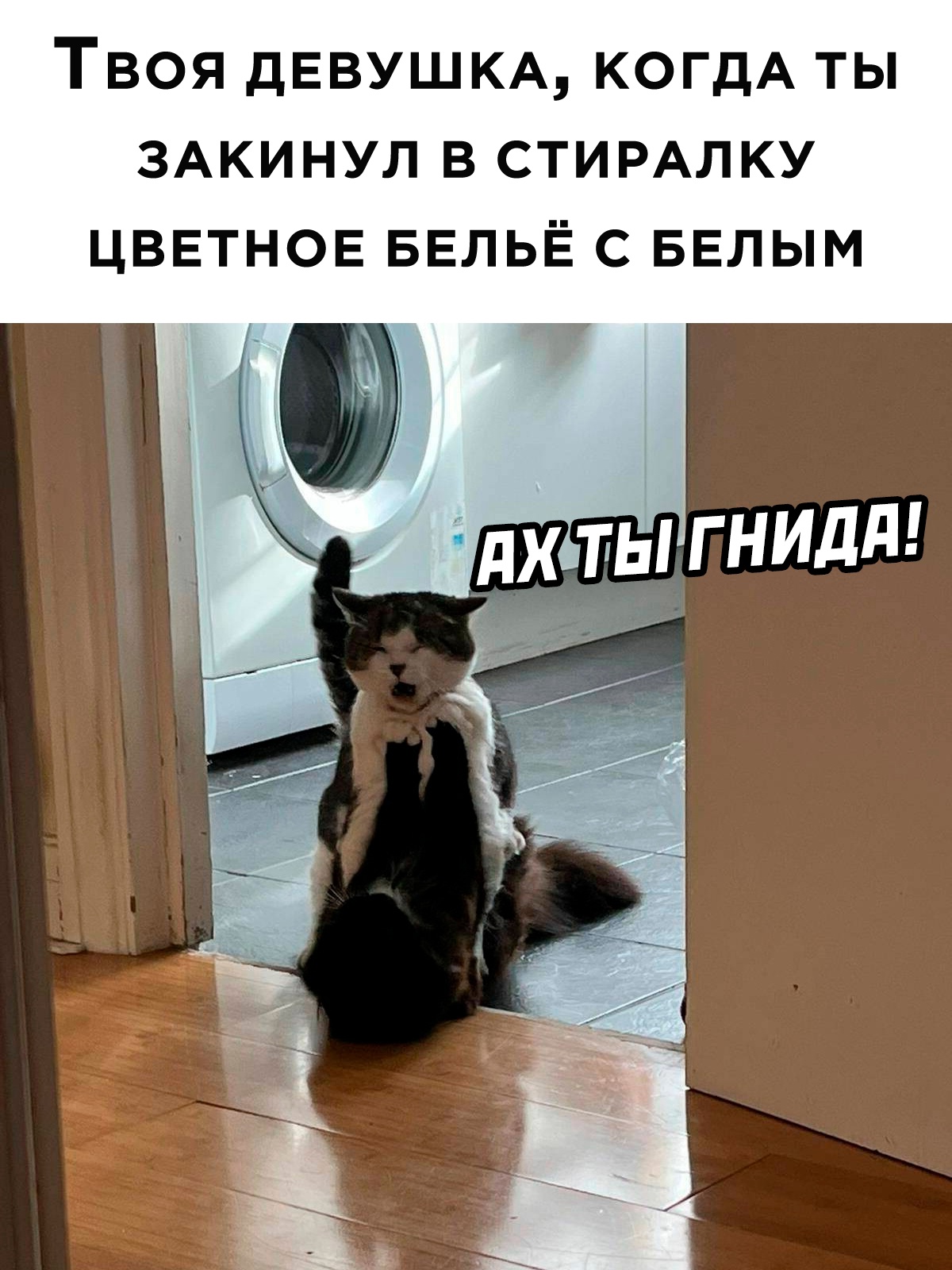 Подборка картинок. Вечерний выпуск - 26.12.2022 (30 фото)