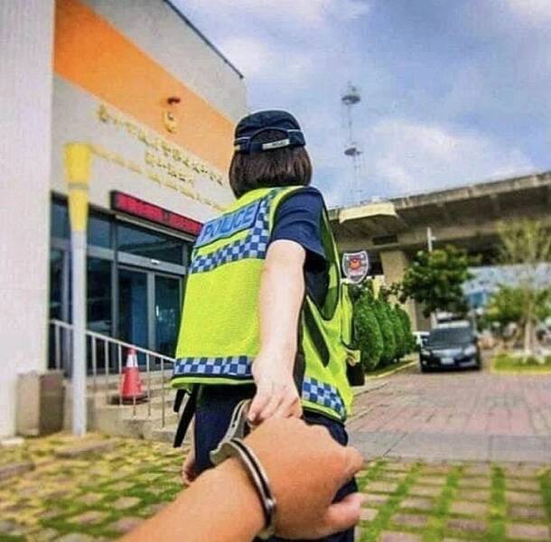 Подборка картинок. Вечерний выпуск - 26.12.2022 (30 фото)