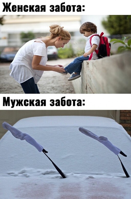 Смешные и познавательные картинки