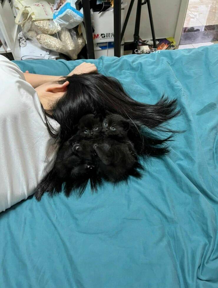 Подборка картинок. Вечерний выпуск - 27.12.2022 (30 фото)