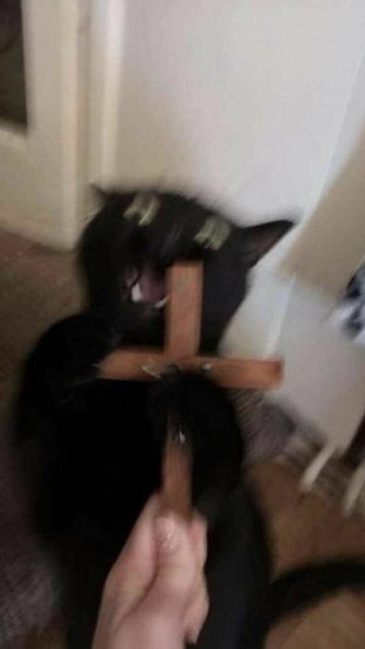 Подборка картинок. Вечерний выпуск - 27.12.2022 (30 фото)