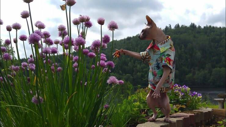 Подборка картинок. Вечерний выпуск - 27.12.2022 (30 фото)