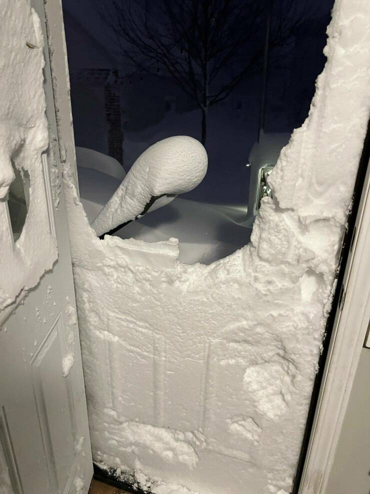 Подборка картинок. Вечерний выпуск - 27.12.2022 (30 фото)