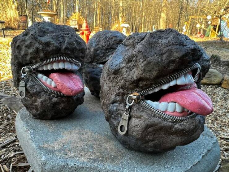 Подборка картинок. Вечерний выпуск - 27.12.2022 (30 фото)