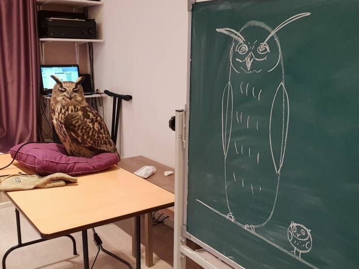 Подборка картинок. Вечерний выпуск - 27.12.2022 (30 фото)