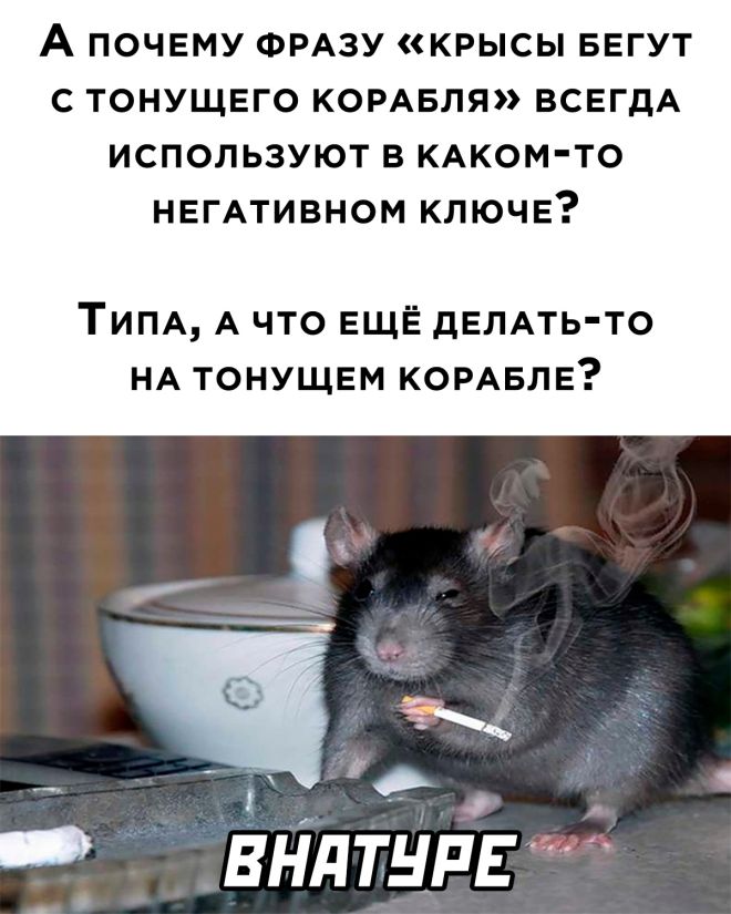 Подборка картинок. Вечерний выпуск - 29.12.2022 (30 фото)