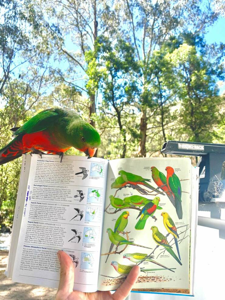 Подборка картинок. Вечерний выпуск - 29.12.2022 (30 фото)