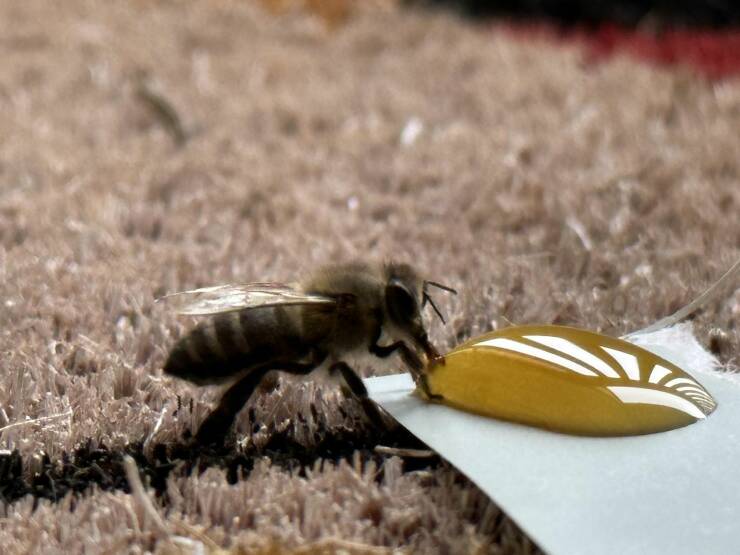 Подборка картинок. Вечерний выпуск - 29.12.2022 (30 фото)