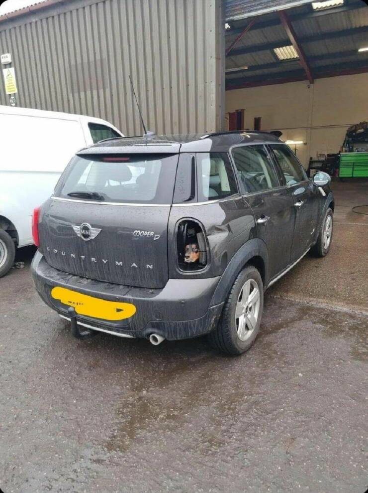 Подборка картинок. Вечерний выпуск - 29.12.2022 (30 фото)