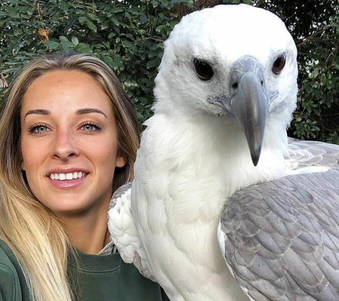 Подборка картинок. Вечерний выпуск - 29.12.2022 (30 фото)