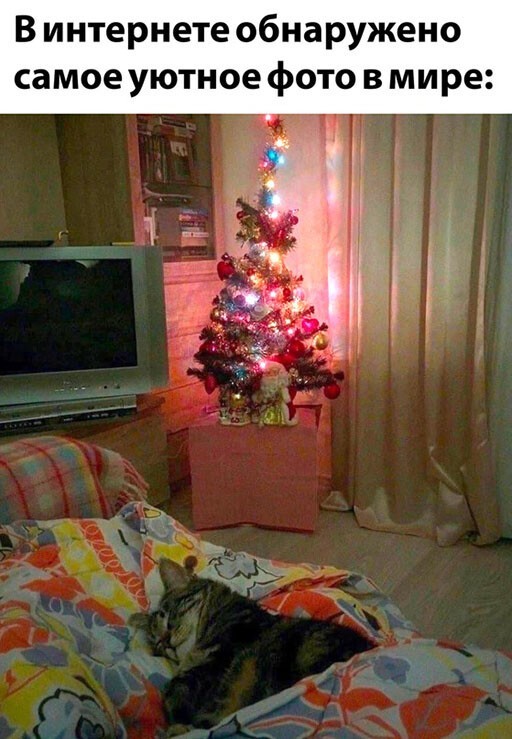 Смешные и познавательные картинки Смешные и познавательные картинки