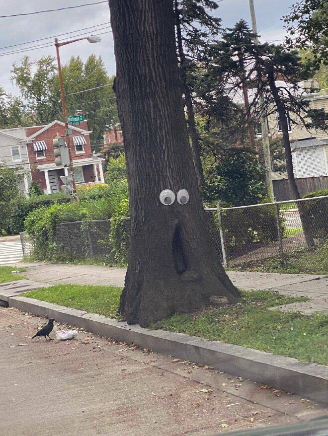 Подборка картинок. Вечерний выпуск - 29.12.2022 (30 фото)