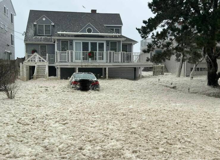 Подборка картинок. Вечерний выпуск - 29.12.2022 (30 фото)