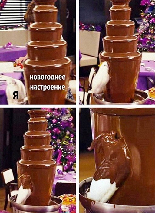 Смешные и познавательные картинки