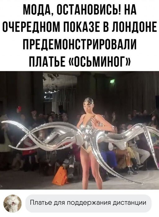 Смешные и познавательные картинки