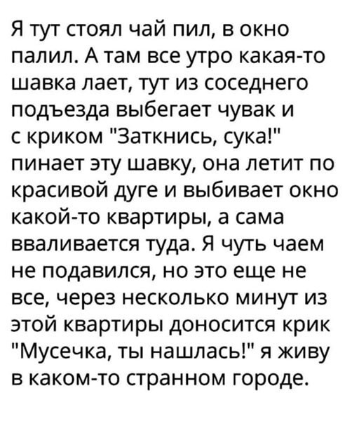 Фотоприколы и прикольные картинки