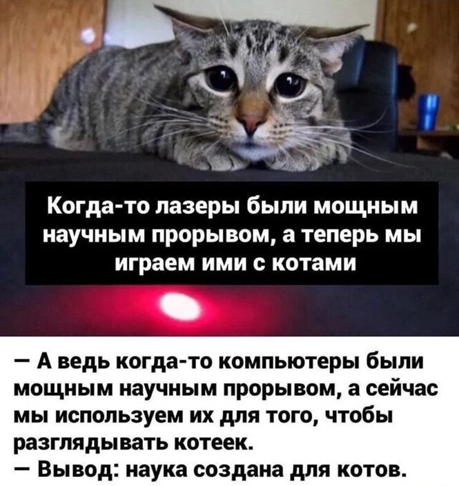 Фотоприколы и прикольные картинки