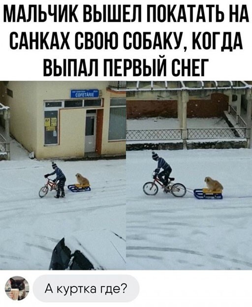 Фотоприколы и прикольные картинки