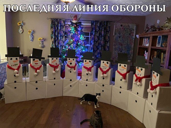 Фотоприколы и прикольные картинки