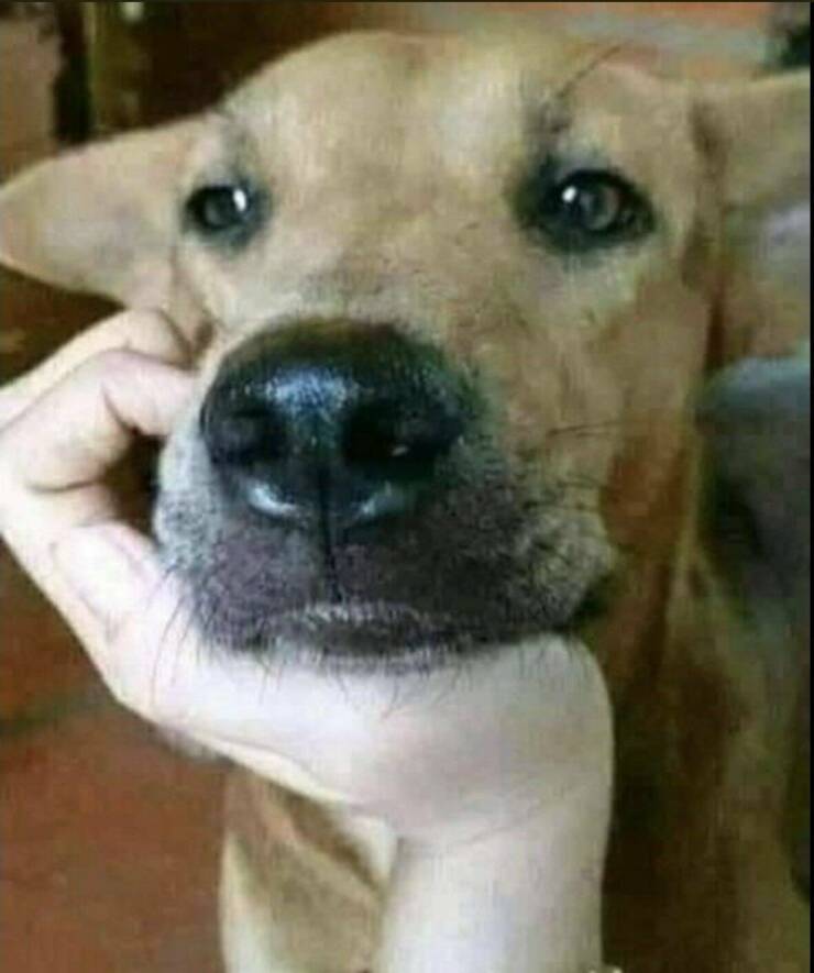 Подборка картинок. Вечерний выпуск - 04.01.2023 (30 фото)