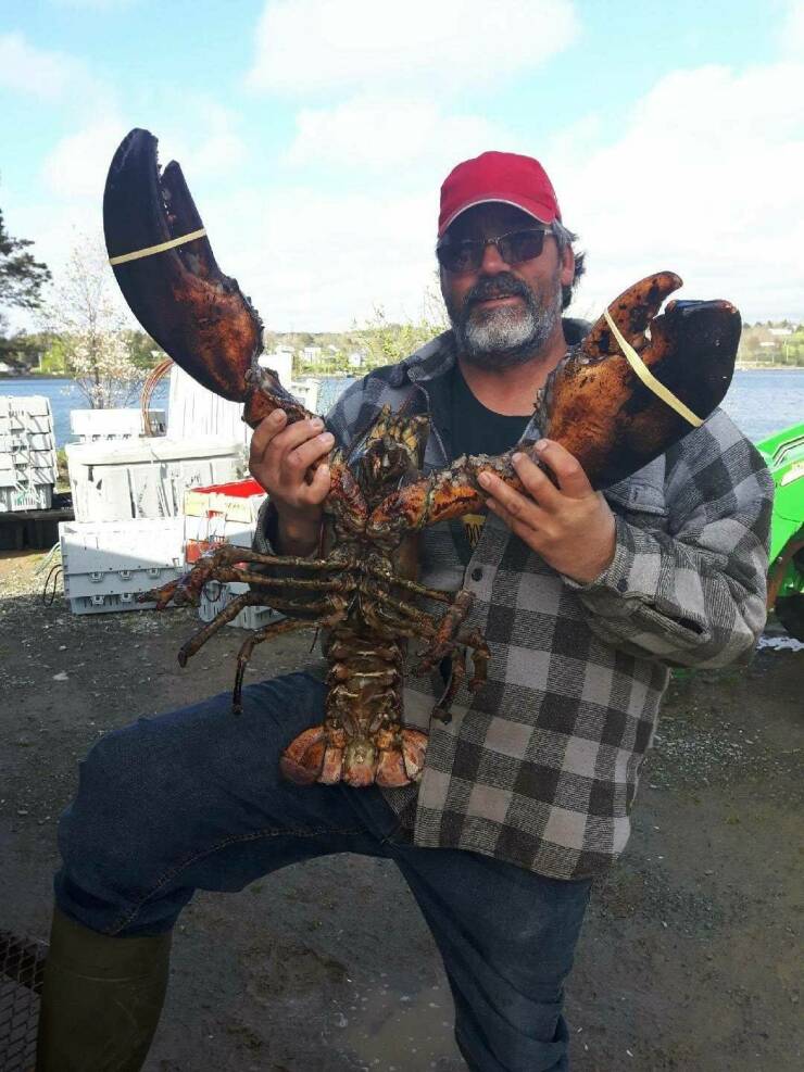 Подборка картинок. Вечерний выпуск - 04.01.2023 (30 фото)