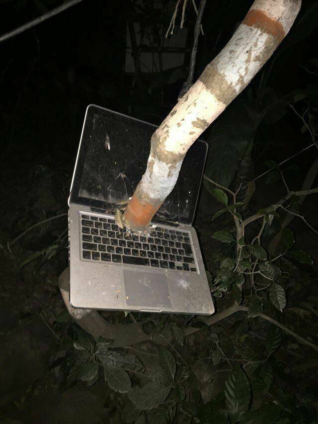 Подборка картинок. Вечерний выпуск - 04.01.2023 (30 фото)