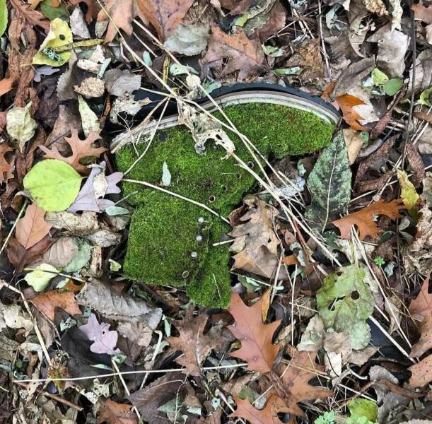 Подборка картинок. Вечерний выпуск - 04.01.2023 (30 фото)