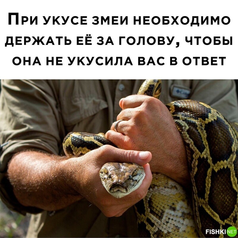 Комментарии и картинки из соцсетей. Свежак за 1 января