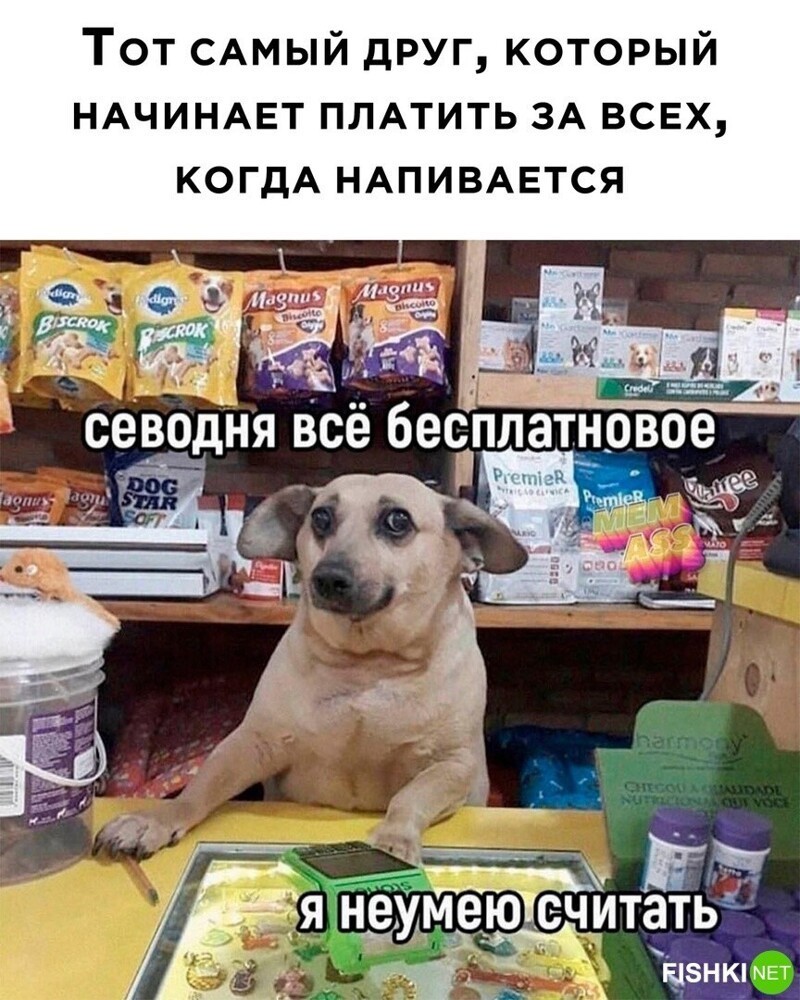 Комментарии и картинки из соцсетей. Свежак за 6 января