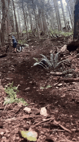 Подборка гифок (25 гифок) - 02.01.2023