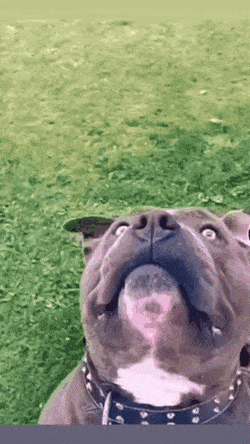 Подборка гифок (25 гифок) - 02.01.2023