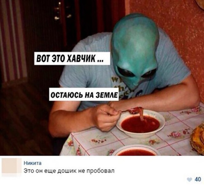 Фотоприколы и прикольные картинки