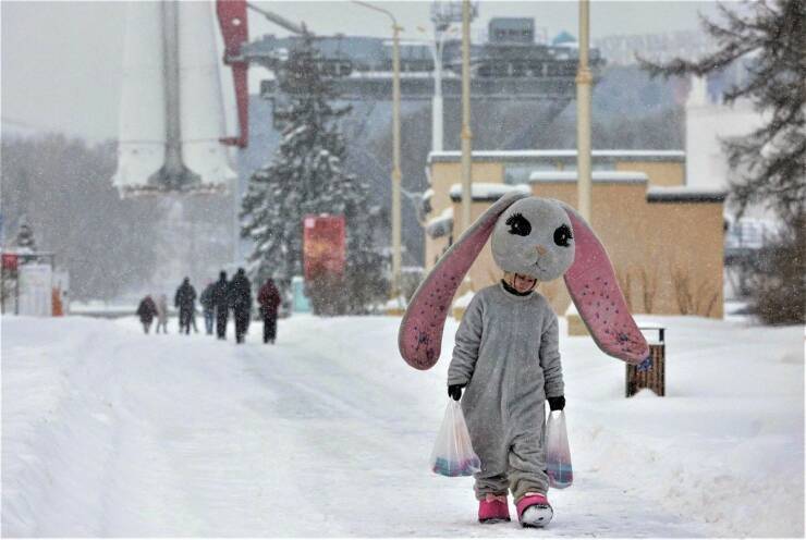 Подборка картинок. Вечерний выпуск - 06.01.2023 (30 фото)
