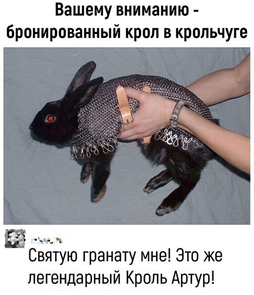 Фотоприколы и прикольные картинки