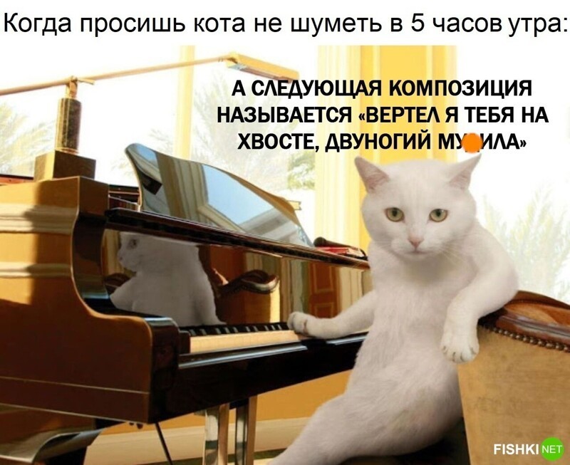 Комментарии и картинки из соцсетей. Свежак за 9 января